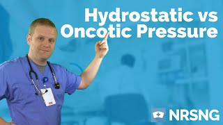 Hydrostatic vs Oncotic Pressure  Osmosis albumin fluid management edema [upl. by Jolene]