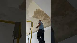 Venitian plaster ceiling process lennykravitz interiordesign craftsmanship [upl. by Akanke680]