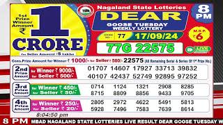 Dear Goose Tuesday Weekly Lottery 8pm Date Of Draw 17092024 [upl. by Landsman]