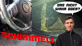 Ich brech ab Nicht das noch  Mazda 3  3  Schimmel im Innenraum überall Schimmelbeseitigung [upl. by Bobina]