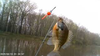 Fishing Beyers Pond Big Creek Reservation [upl. by Yerffej265]