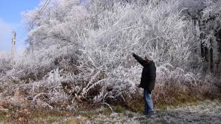 Le Potager du Paresseux  le 1er janvier sous le gel [upl. by February968]