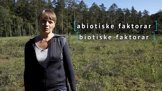 Kort forklart biotiske og abiotiske faktorar [upl. by Solahcin813]