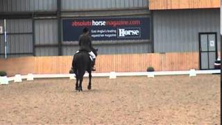 British Dressage Petplan Area Festival  Novice 38 [upl. by Kcirdled892]