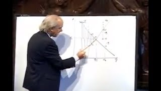 La teoría de las quotfallas del mercadoquot y del Estado 2009  Martín Krause [upl. by Adnuhsar]