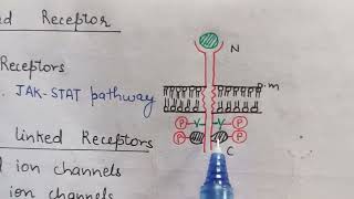 Cell Surface Receptors  RTKs  Cytokine receptors  GPCR Cell Signaling CSIR NET Life Sciences [upl. by Suhpoelc376]