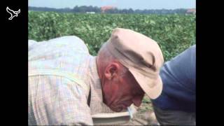 Pioniers de kolonisten van de Noordoostpolder van 19052013 [upl. by Enilav]