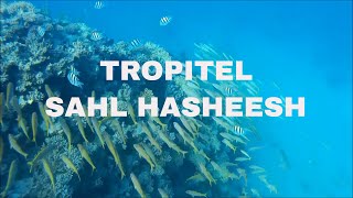 Snorkeling Tropitel Sahl Hasheesh Hurghada  SJ4000 the GoPro Alternative  House Reef North [upl. by Bullock]