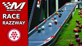 🏁 Marbula One S4 GP1 🏁 Razzway RACE 🫐  Jelles Marble Runs [upl. by Erasmus]