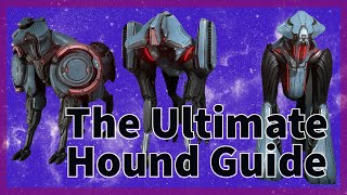 The Ultimate Hound Guide  Sisters of Parvos [upl. by Ordisy824]