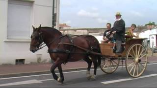 Touring Noirmoutier Island and the General Vicinity Vendee France [upl. by Palermo]