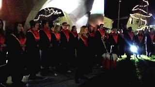 School choir  Murphysboro High School Madrigals singers [upl. by Garrity640]