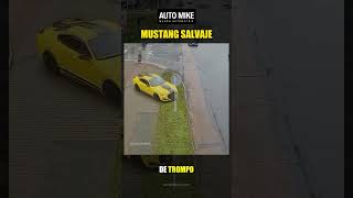 Mustang Salvaje [upl. by Aekerly]