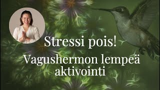 Vagushermon tehokas ja lempeä aktivointi hyminällä  Apua stressiin ahdistukseen ja oireisiin [upl. by Armat629]