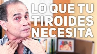 Episodio 1379 Lo Que Tu Tiroides Necesita [upl. by Odysseus]