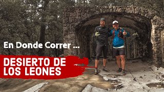 Desierto de los Leones  CDMX  TrailRunning [upl. by Eilyw]