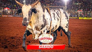 Rodeio de COLORADO 2024 SÁBADO  MELHORES MOMENTOS [upl. by Lachlan46]