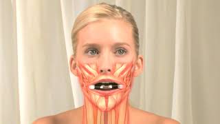 Facial Flex Muscle Animation [upl. by Rauch]