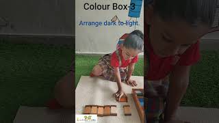 Colour Tablets3 montessorilearning montessoriactivities littlegemsshortvideo [upl. by Hewie]