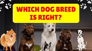 Top Dog Breeds Explained by a Vet [upl. by Cary]