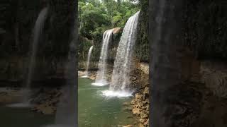 Waterfalls sounds waterfalls nature sounds forest waterfalls nature shorts  waterfalls [upl. by Tap]