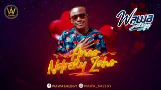 Wawa Salegy  Anao ndreky zaho 2020 [upl. by Kirimia]