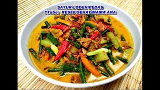 RESEP DAN CARA MASAK SAYUR LODEH PEDAS ENAK [upl. by Rumit]