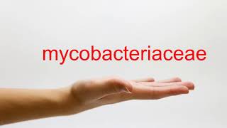 How to Pronounce mycobacteriaceae  American English [upl. by Llertnor846]