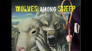 WOLVES among SHEEP 110 quotIndependent or Dependentquot wwwthefinalmovementscom [upl. by Lemaceon]