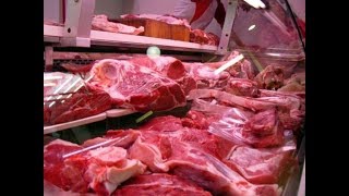 Sistemas de Producción de Carne TvAgro por Juan Gonzalo Angel [upl. by Nayllij]