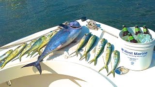 Overnight Canyon Tuna Trip To the Chicken Canyon Bluefin Tuna amp Mahi Mahi [upl. by Akiehs666]