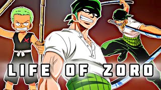 Life of Rorona Zoro in Hindi UPDATED  One Piece  Sora Senju [upl. by Imoian295]