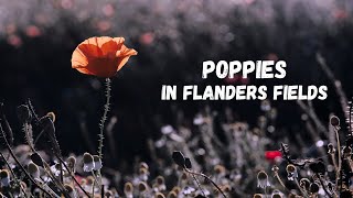 Poppies in Flanders Fields Chabliz Popnoir Music Video [upl. by Ydorb]