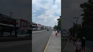 Atropellan a pareja de motociclistas en la 3030 en San Cristóbal Ecatepec noticias mexibus [upl. by Arlo]