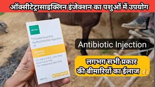 Oxytetracycline Injection ऑक्सीटेटरासाइक्लिन इंजेक्शन का पशु चिकित्सा में उपयोग  Veterinary uses [upl. by Ielhsa]