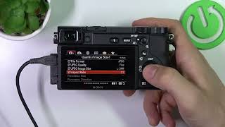 How to Change Aspect Ratio on SONY Alpha [upl. by Nnod]