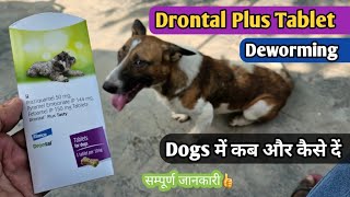 Drontal Plus Tablet dogs uses in Hindi  drontal plus Deworming tablet  Dog unique cafe [upl. by Jaban]