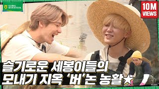 GOING SEVENTEEN EP14 버논에서 모처럼 모내기를 하며 모든 내기를 해보았다 1 Planting Rice and Making Bets 1 [upl. by Tebzil]