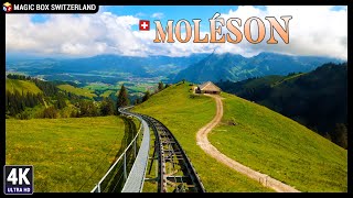 Moléson 4K 🇨🇭 Family Attractions amp Funicular  Cable Car to Swiss Prealps Mountain La Gruyères Ep2 [upl. by Brennan]