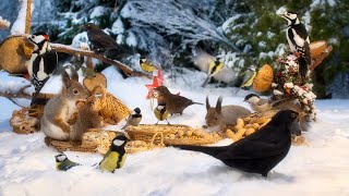 Relax with Forest Friends in Winter Wonderland☃️ 10 hours Cat amp Dog TV 😽🐶 4K HDR [upl. by Relyhs]