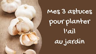 Mes 3 astuces pour planter lail au jardin [upl. by Nylehtak]