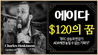 에이다 코인 120의 꿈 quotBTC 상승과 반감기 ADA에겐 놓칠 수 없는 기회다quot [upl. by Seuqirdor]