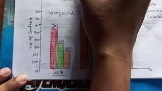 multiple bar diagram class 11 economics [upl. by Messab654]