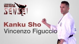 Vincenzo Figuccio teaching kata Kanku Sho  Karate amp Relax June 2013 [upl. by Adyela206]