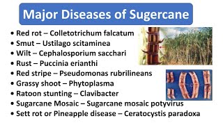 Major Diseases of Sugarcaneगन्ने के फसल के मुख्य रोग। [upl. by See]