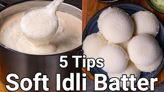 ரவா இட்லி பஞ்சு போல வர முக்கியமான டிப்ஸ்  Rava idli recipe in tamil  Instant rava idli in tamil [upl. by Nnylharas443]