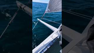 High Performance Schionning Designs Arrow 1280S quotDualityquot Sailing Ig dualitysailing sailing love [upl. by Assehc]