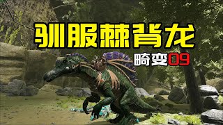 【方舟生存进化：畸变09】驯服棘背龙 [upl. by Eaves784]