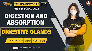 Digestion and Absorption Ep5  Digestive Glands  Class 11  NEET Biology 2023  Vedantu Biotonic [upl. by Soigroeg]