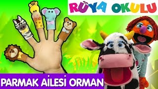 Parmak Ailesi Türkçe  Orman Hayvanları  Çizgi Film Bebek Şarkıları  RÜYA OKULU [upl. by Esir89]